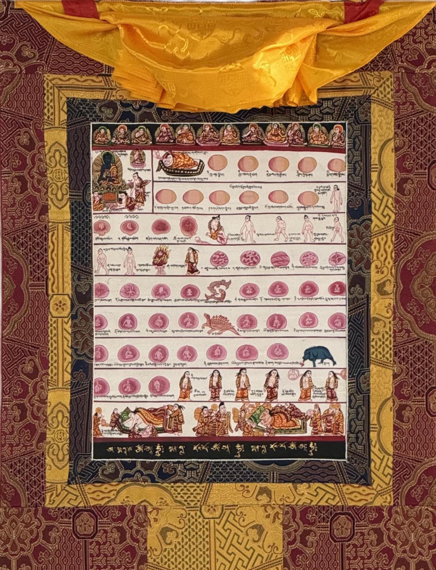 Hand-Painted Tibetan Medical Thangka | Human Embryology Art with Silk Brocade | Traditional Buddhist Medical Painting